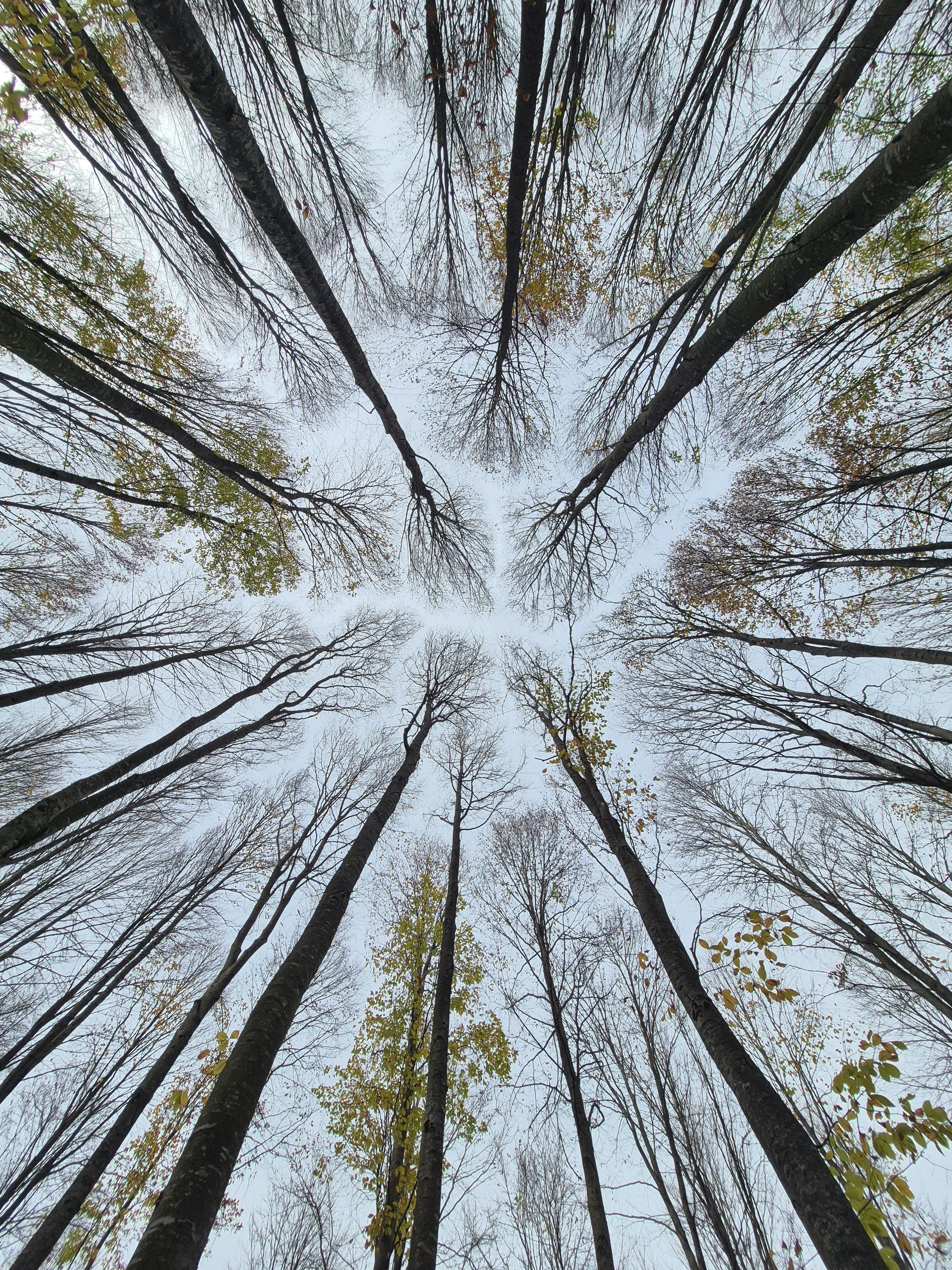 Earth Day Flash Sale | 40% Off In-Stock Luxury Appliances & Bath