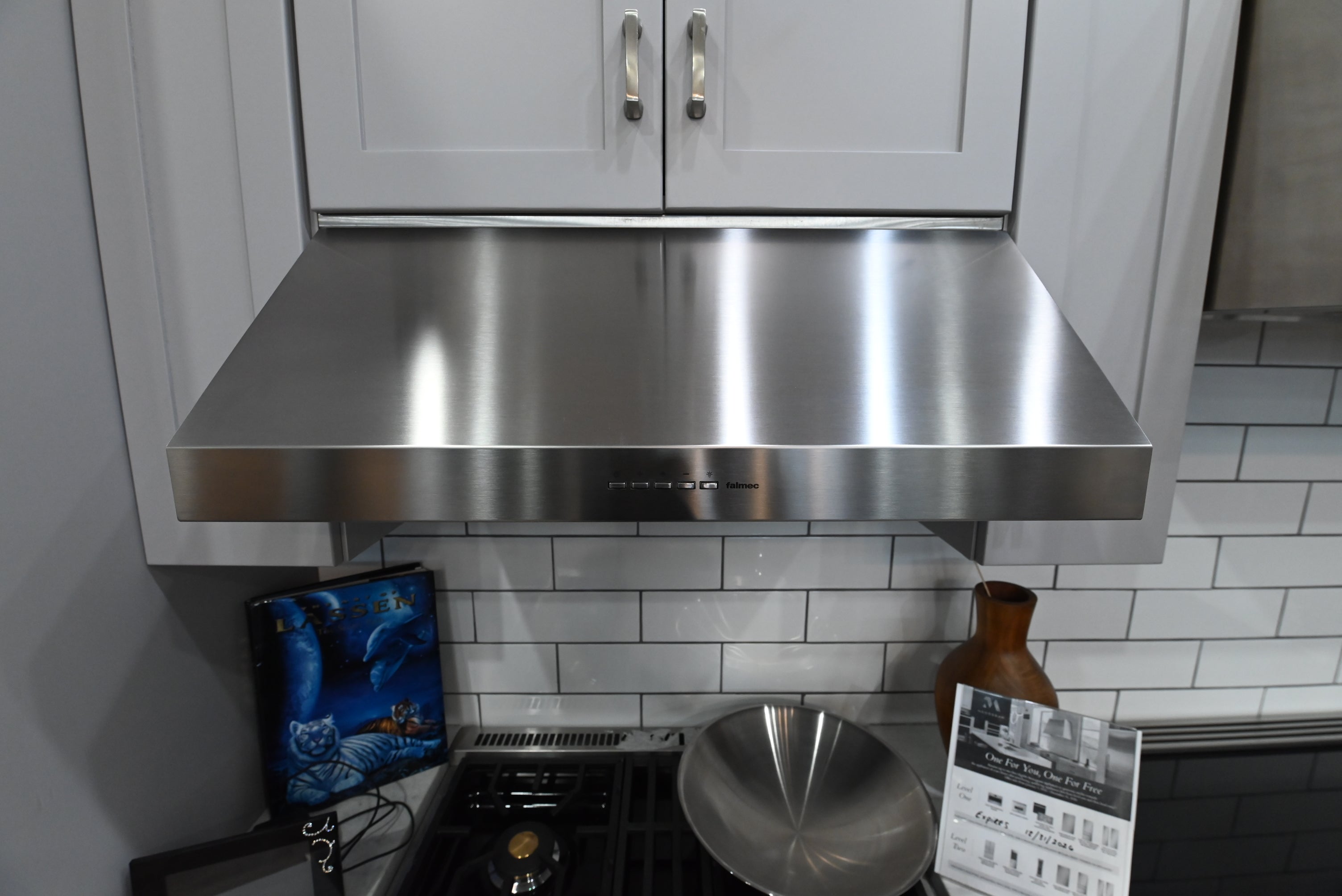 Falmec 30 inch professional wall mount canopy range hood in stainless steel