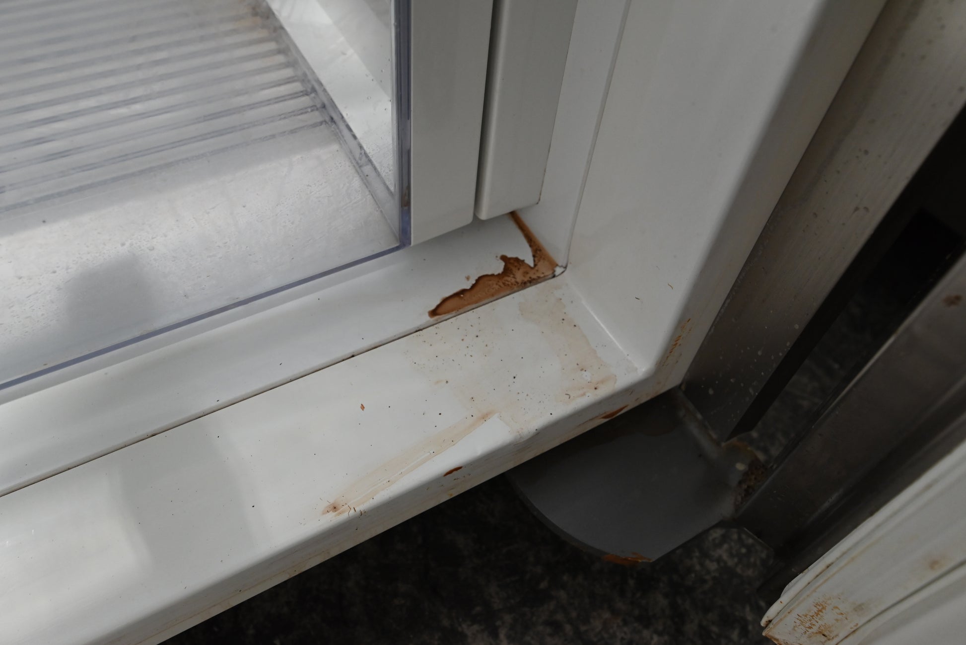 Sub-Zero Certified BI-48S/S/TH 48" Stainless Steel Side by Side Refrigerator