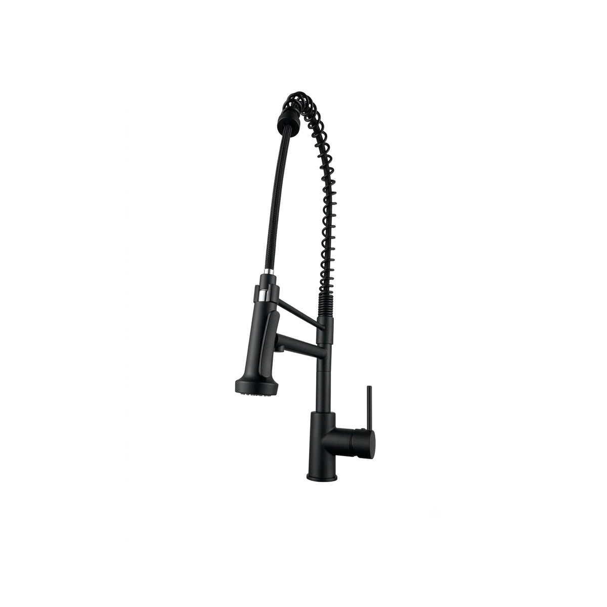 Single Lever Dual Spout Kitchen Faucet in Matte Black
