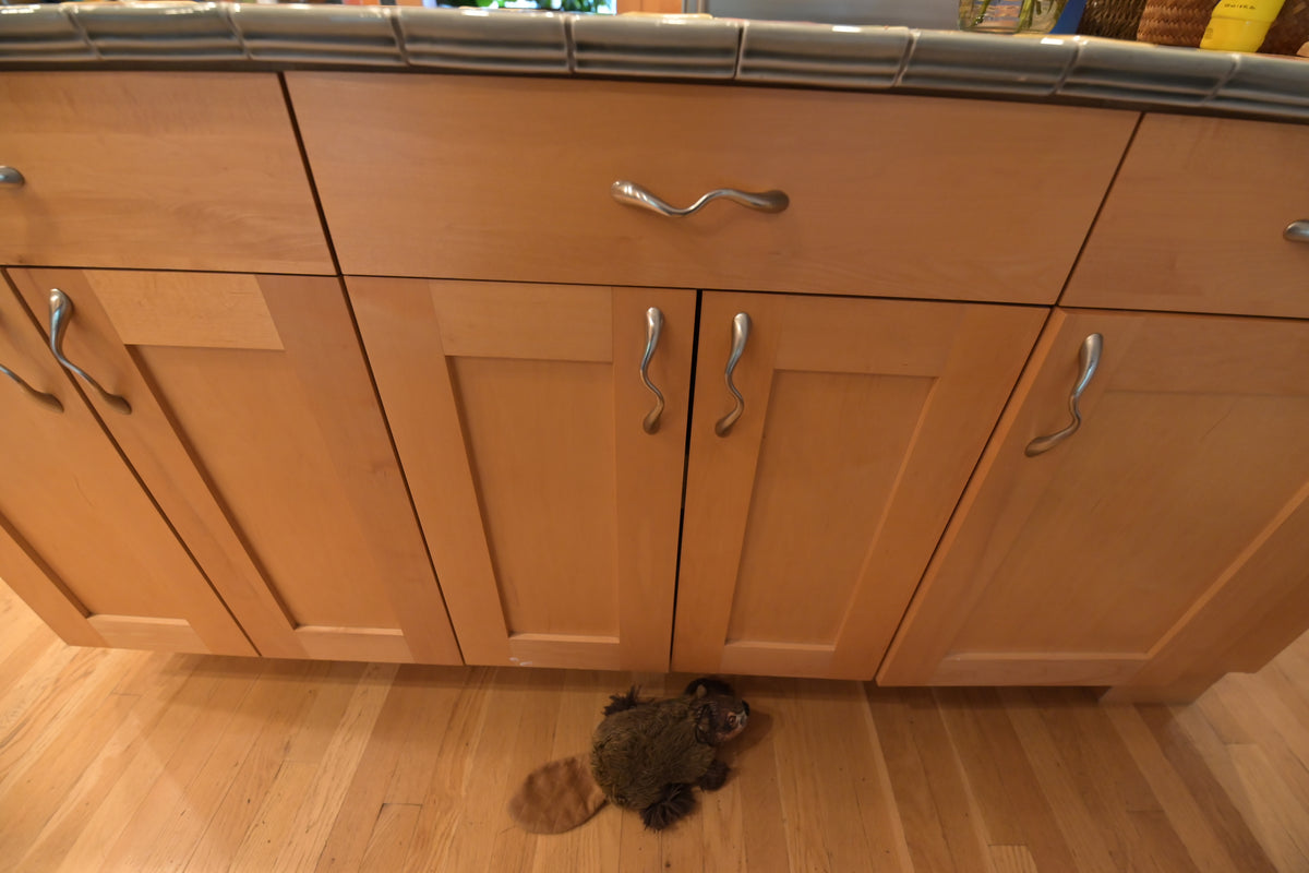 Millennia Transitional Craftsman Shaker Kitchen with 36" Sub-Zero Refrigerator