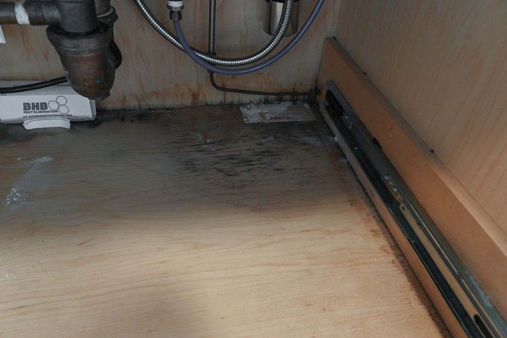 Premier Custom-Built Transitional White Kitchen with Viking Appliances