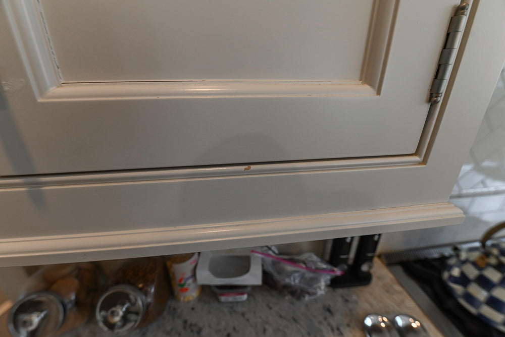 "The Berkley" Transitional White Kitchen with Island and 60" Wolf Range