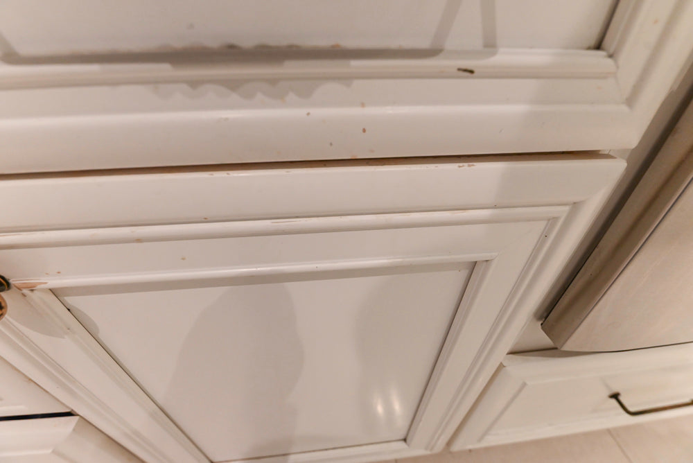 Candelight Traditional Off White Kitchen with Island and Monogram Appliances